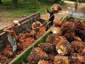 Harga CPO bisa naik ke US$ 1.200 per ton