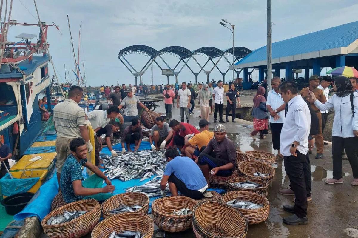 Minim Fasilitas Gudang Beku, KKP Maksimalkan Penyerapan Ikan di Aceh