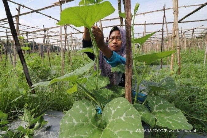 Apa Itu PKWU pada Mata Pelajaran Sekolah? Ini Arti, Materi, hingga Tujuan Belajar