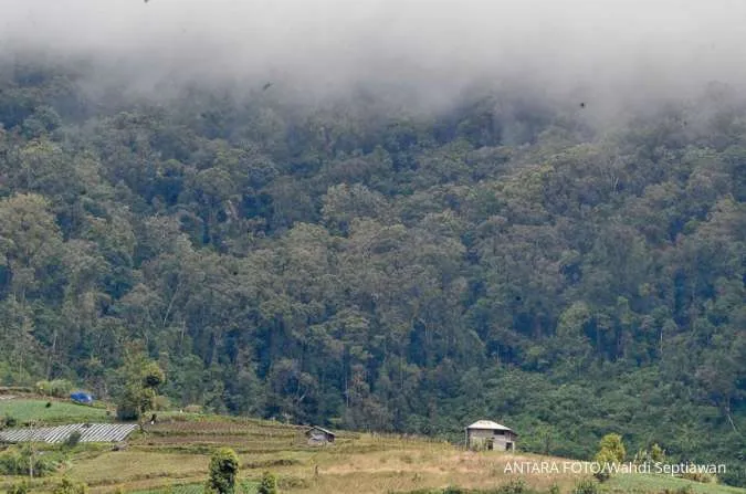 PEMBUKAAN LAHAN PERKEBUNAN DI DALAM KAWASAN TNKS