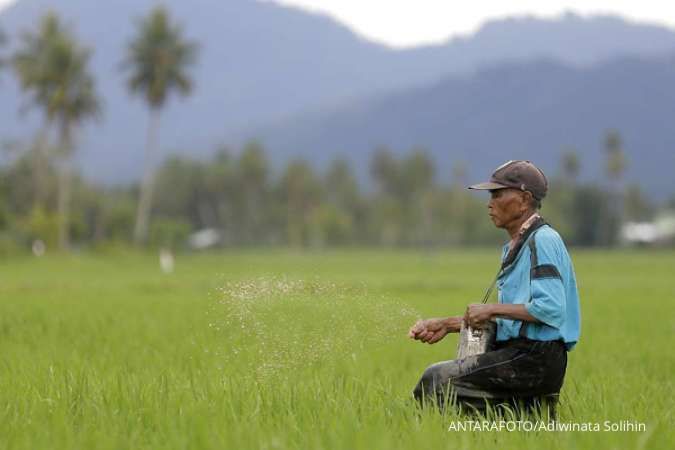 Tak Terdaftar di Kartu Tani, Banyak Petani Sulit Mendapat Pupuk Subsidi