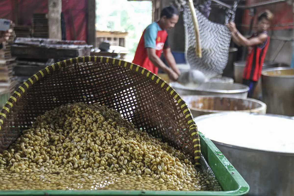 Kedelai Mahal, Harga Tahu dan Tempe Naik 