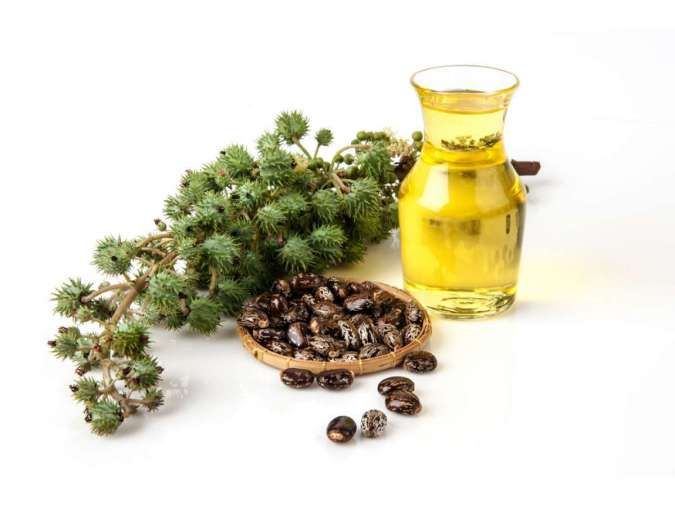 Inilah 5 Manfaat Castor Oil untuk Perawatan Kulit dan Rambut, Sudah Tahu?