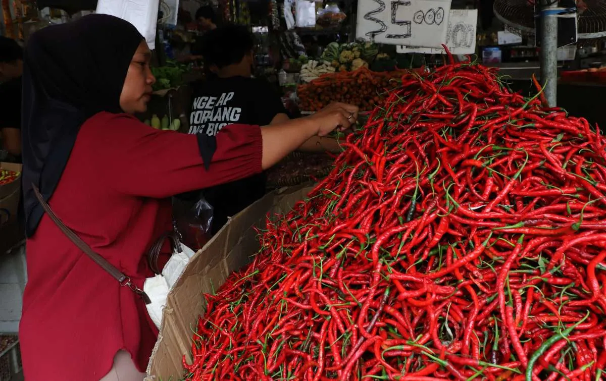 Inflasi September 2026 Diprediksi Naik Jadi 3,28%, Didorong Kenaikan Harga Cabai
