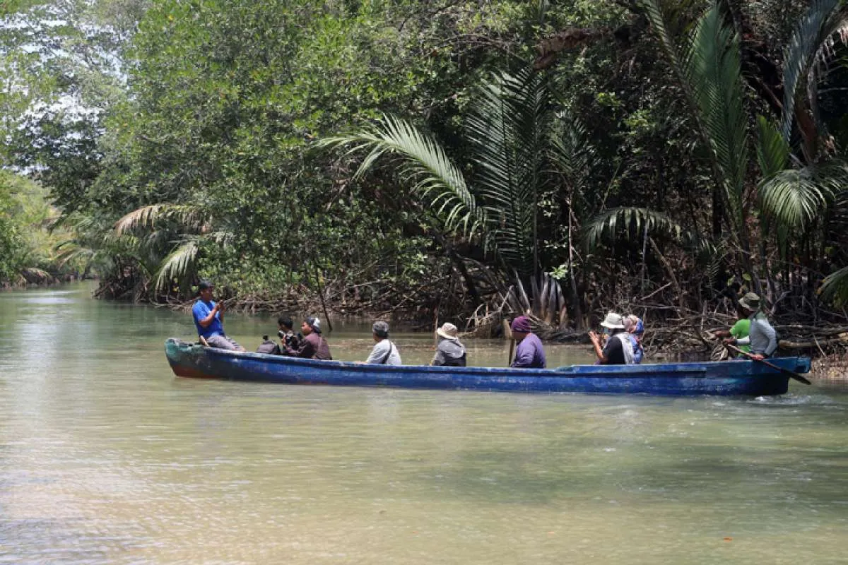 Wisata unik, telusuri jalur badak jawa mandi di Pulau Handeuleum