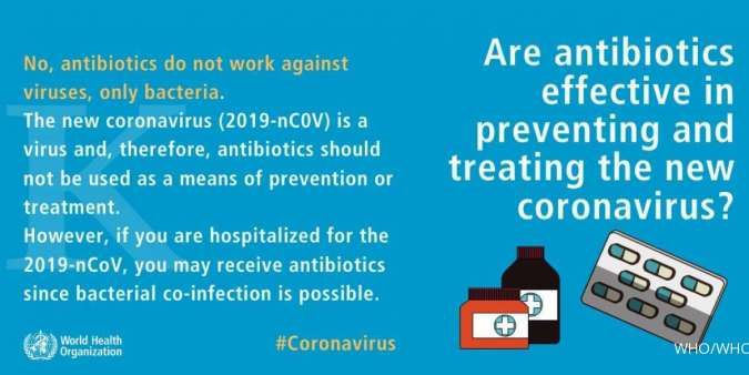 Apakah anjing dan kucing bisa menularkan virus corona? Ini kata WHO
