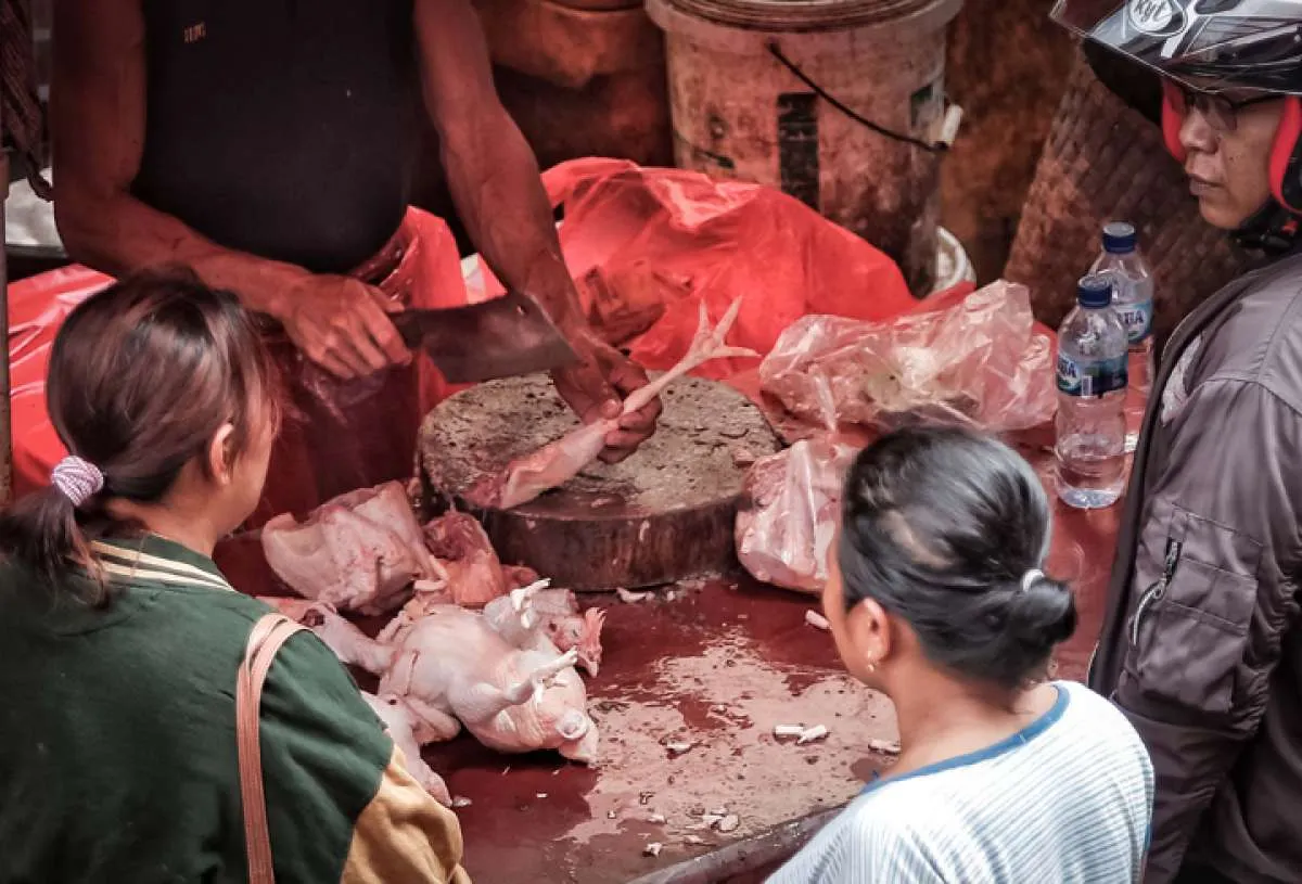 Harga Acuan Ayam Diusulkan Revisi, Badan Pangan Nasional Mulai Lakukan Review