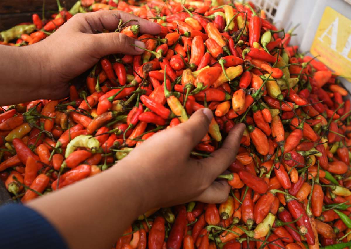 BI Predksi Inflasi Bulan Juli Hanya Berlari 0,01%