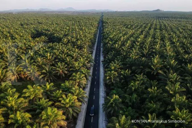 Indonesia launches B30 biodiesel to cut costs, boost palm oil