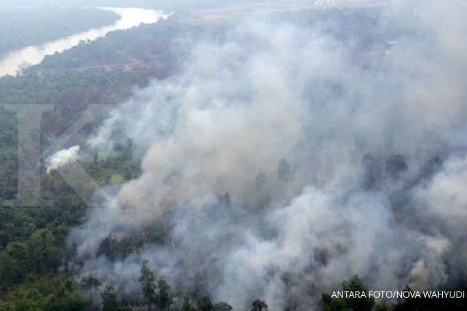 7 Korporasi modal asing tersangka pembakaran hutan