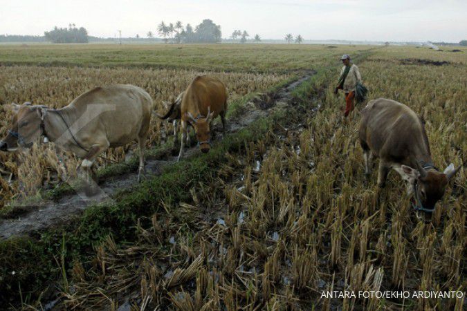 Sektor pertanian dalam ancaman