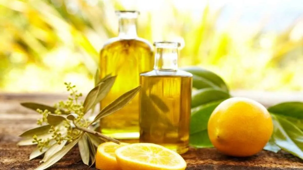 4 Minyak Esensial yang Efektif Meredakan Nyeri Akibat Asam Urat Tinggi 