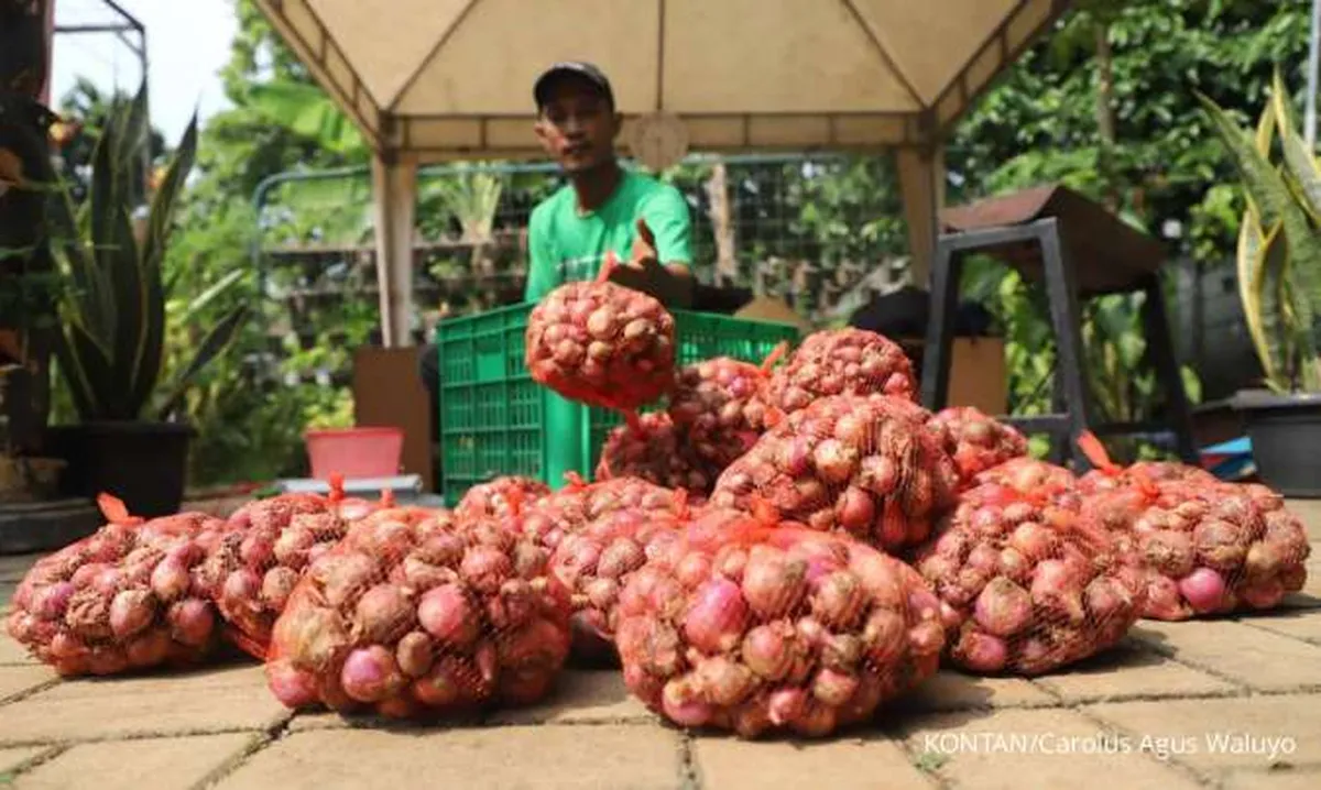 Ini Penyebab Harga Bawang Merah Anjlok 40,36% dibawah HAP