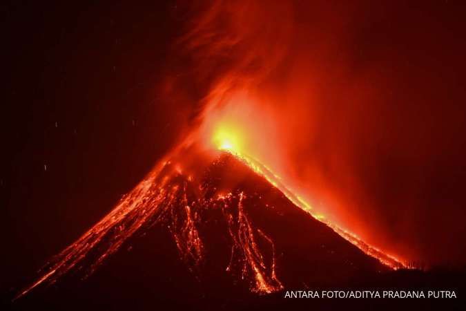 Pemerintah Siapkan 50 Hektar Lahan untuk Pengungsi Erupsi Gunung Lewotobi Laki-laki