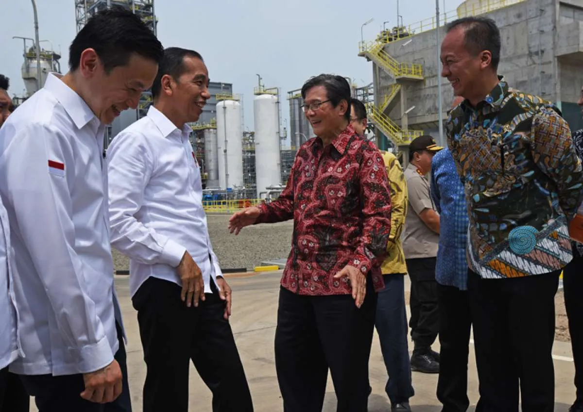 Prospek saham TPIA menjadi menarik berkat tax holiday