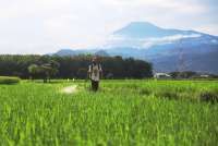 Lindungi Petani, Askrindo Perkenalkan Asuransi Pertanian Berbasis Agritech