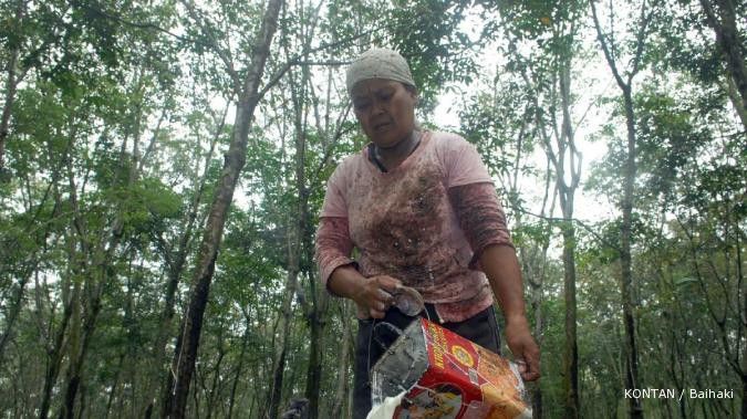 Harga minyak turun, harga karet ikut terjungkal