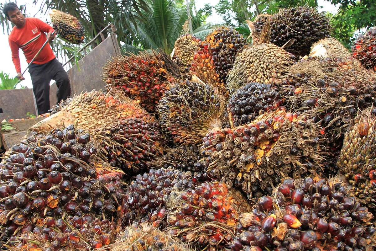 Tahun Kerbau Logam merupakan tahun yang baik untuk sektor bisnis dengan unsur tanah