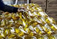 GIMNI Usul Penyelesaian Utang Rafaksi Minyak Goreng, Kemendag Akan Pelajari