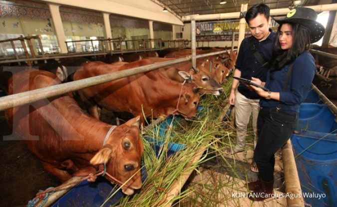 Kemtan prioritaskan kembangan sapi Bali