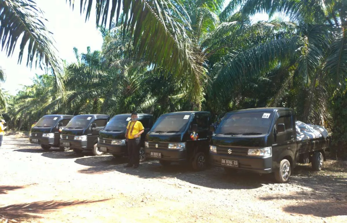 Suzuki New Carry Pick Up membidik pangsa pasar 75% di Kalimantan Selatan