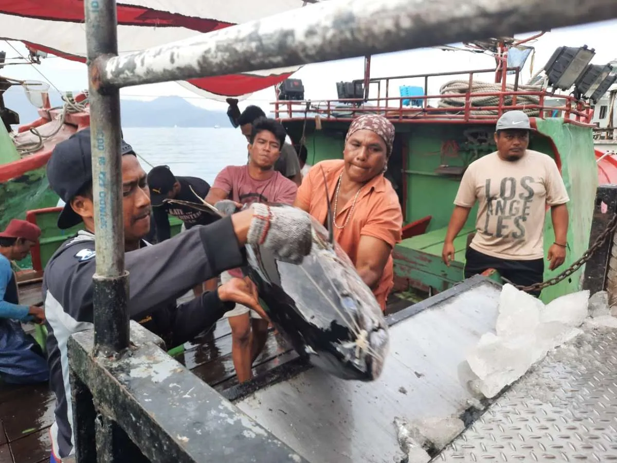 Sistem kuota belum jelas, pelaku usaha perikanan sudah diminta ikut skema kontrak