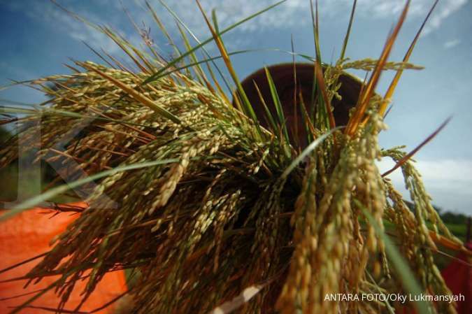 Petani desak pemerintah revisi HPP gabah dan beras
