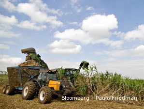 BUMN Siapkan Dua Skenario untuk BUMN Kebun