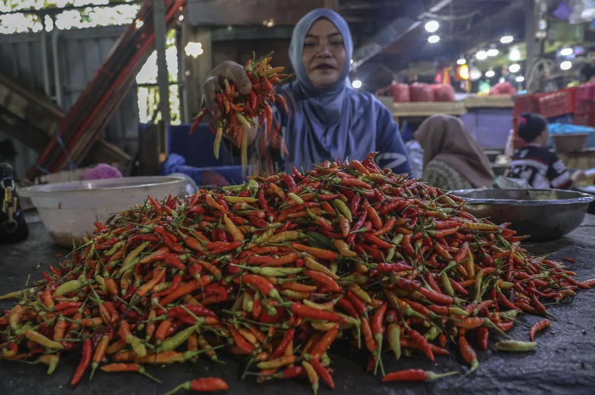 Proyeksi Inflasi Agustus 2025 Relatif Stabil, Tekanan Utama dari Pangan dan Energi