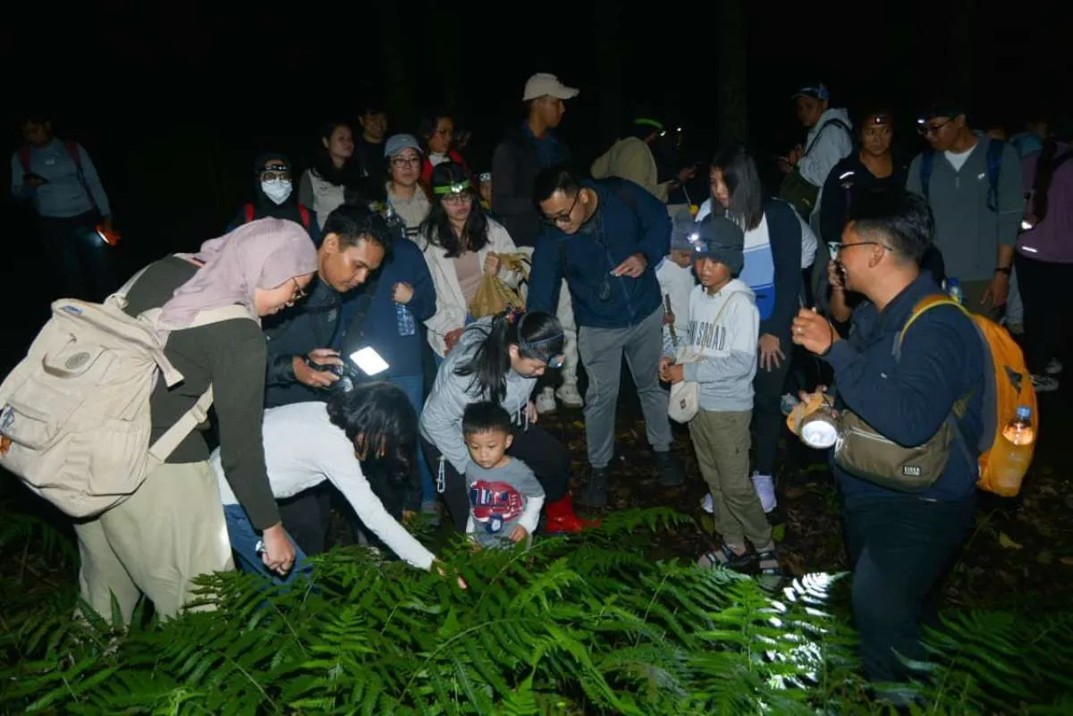  Eksplorasi Kunang-kunang Ungkap Kesehatan Ekosistem  Kebun Raya Bali