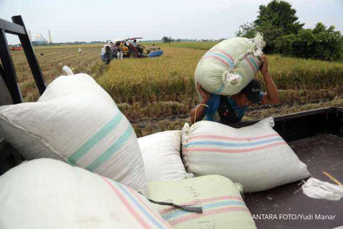 Harga Beras di Atas HET, Bapanas Siapkan Sanksi hingga Cabut Izin Usaha