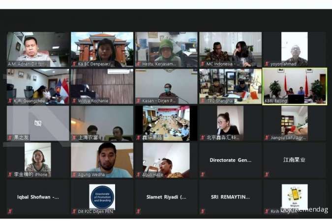 Percepat Penetrasi Buah Tropis ke Tiongkok, Kemendag Gelar Business Matching Virtual Buah Naga