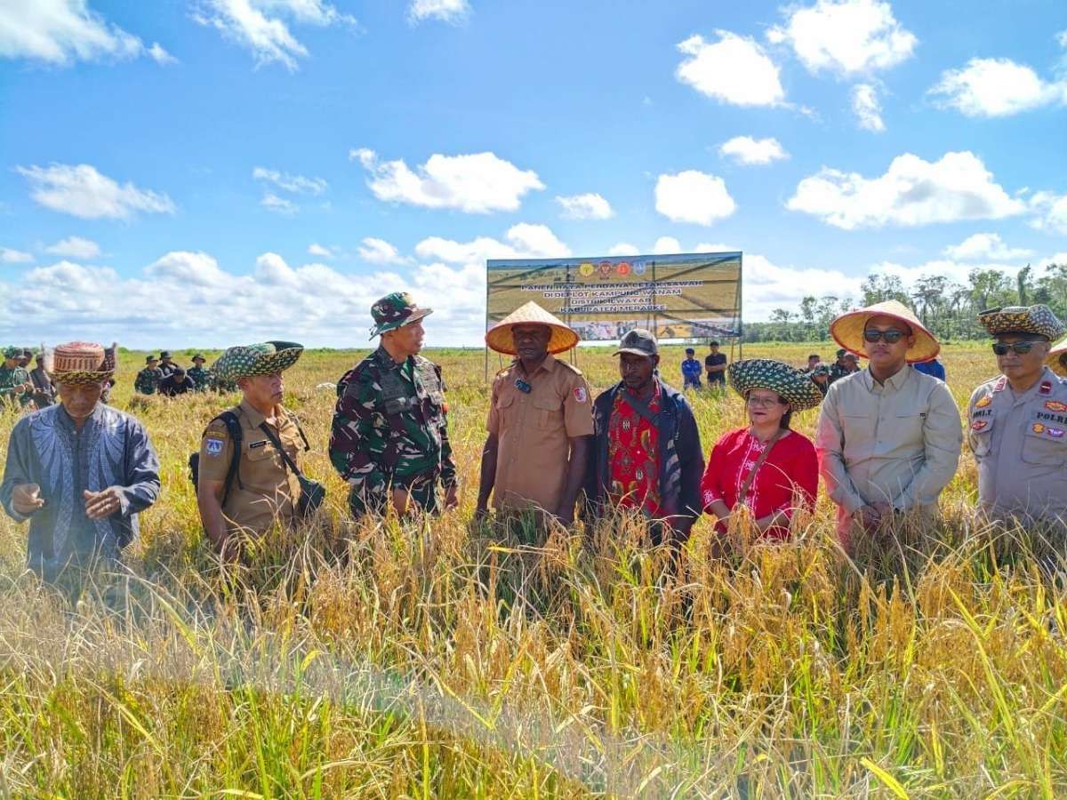 Pemerintah Cetak Sawah, Garap Tebu dan Singkong