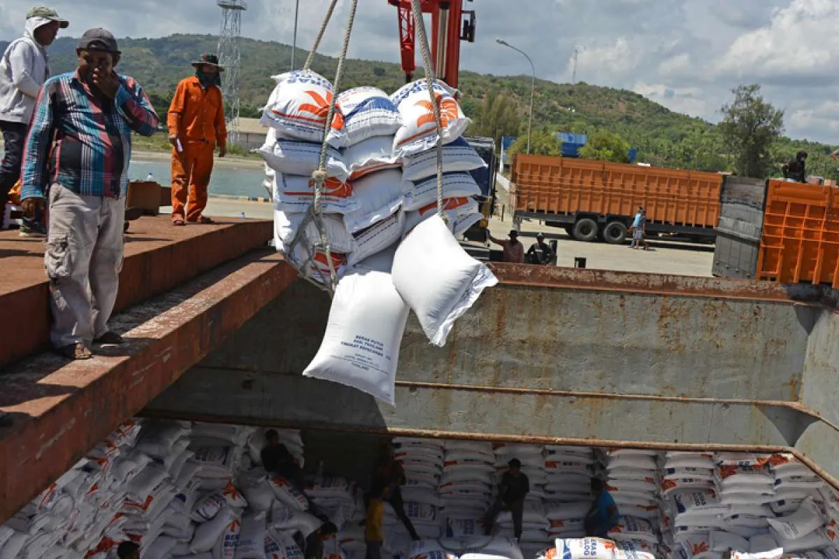 Pemerintah Berencana Impor Beras Lagi, Petani Khawatirkan Hal Ini