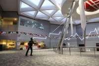 Siap IPO, Produsen Sarang Burung Walet Esta Indonesia (NEST) Incar Dana Rp 164 Miliar