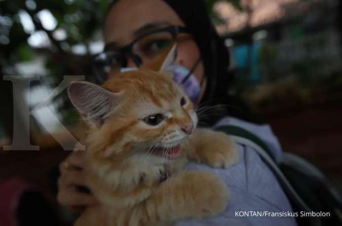 Waspada 5 Gejala Penyakit Rabies Bisa Bermula Dari Sakit Kepala