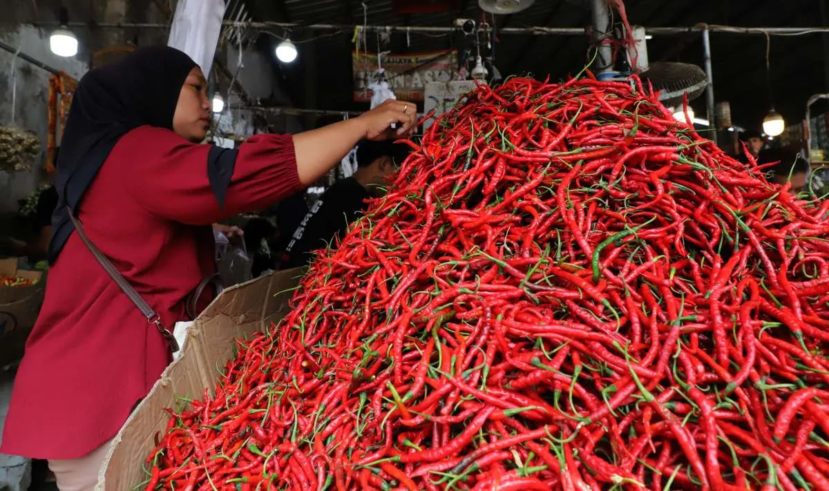 Harga Cabai Melambung, Kementan Pastikan Stok Cabai Aman