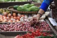 CSIS: Pelemahan rupiah hanya akan berpengaruh pada komoditas pangan impor