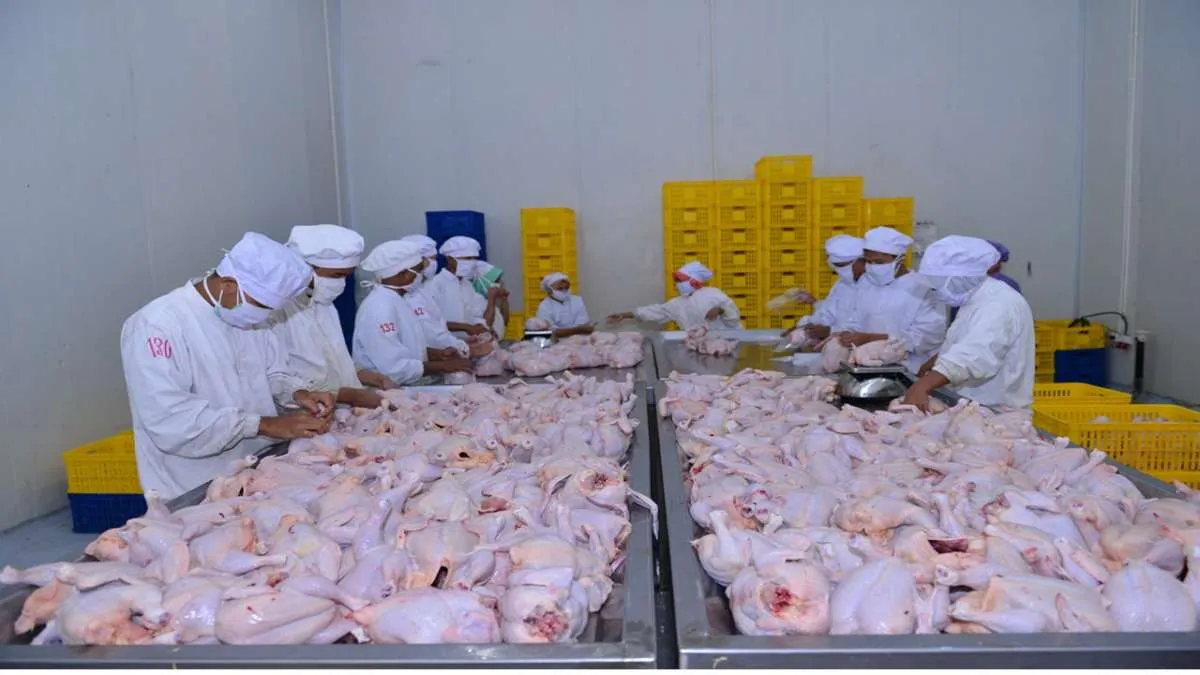 Widodo Makmur Unggas (WMMU) Optimistis Pendapatan Naik 140% pada Semester I-2025