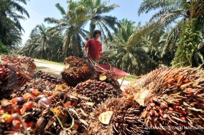 Tergelincir, Harga Crude Palm Oil Sulit Bangkit