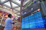 Mirae Prediksi MSCI Masih Bekukan Saham RI, BREN, DSSA & AMMN Perlu Penuhi Syarat