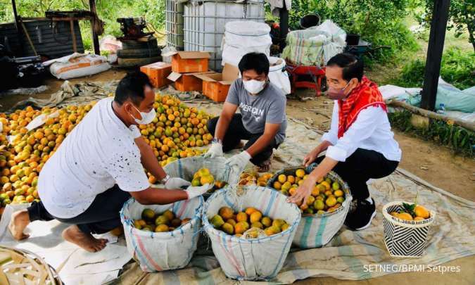 Jokowi Tegaskan Pentingnya Infrastruktur Jalan untuk Tunjang Kegiatan Produksi