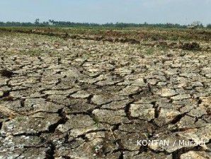 November Nanti, BPN Terbitkan Tanah Terlantar