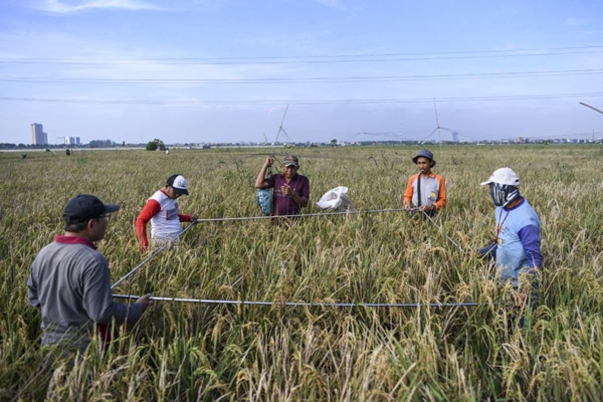Ketahanan Pangan dan Pemulihan di G20
