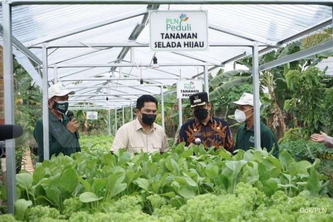 Dorong Efisiensi, Menteri BUMN Dukung Program Electrifying Agriculture PLN