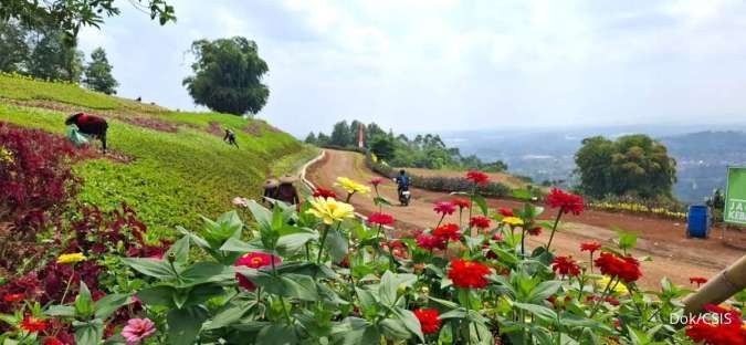 Cahayasakti (CSIS) Bikin Anak Usaha Baru, Jalankan Bisnis Pariwisata dan Real Estate