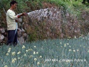 Lansir food estate, pemerintah ingin gandeng swasta