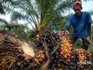  Gozco Akuisisi Sembilan Lahan Sawit Rp 466 M