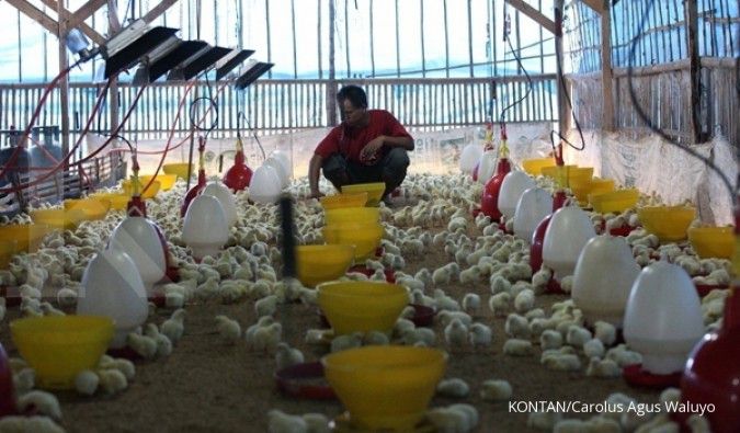 Analis: Emiten poultry dan beras masih prospektif