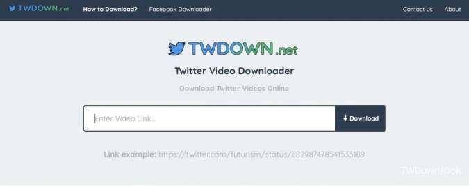Website Twitter video downloader - TWDown